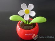 Kv�tina Flip Flap na sol�rn� pohon